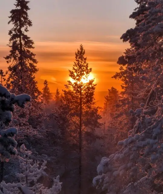A winter sunrise in Rovaniemi, Finland, captured near our SBS Finland office by Jouni Mäkimurto.

Our global team starts each day in very different places, but with the same focus on supporting our customers and strengthening partnerships around the world.